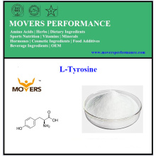 Fábrica de Aminoácidos L-Tirosina com Melhor Preço